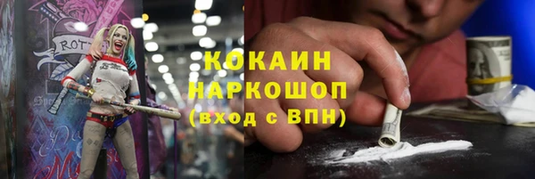 ешки Арсеньев