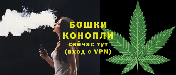 ешки Арсеньев