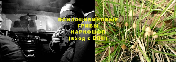 ешки Арсеньев