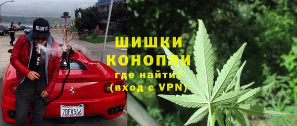ешки Арсеньев