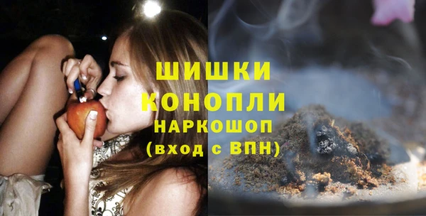 ешки Арсеньев